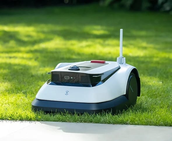 The robot lawn mower on a lush lawn near the edge of a cement path