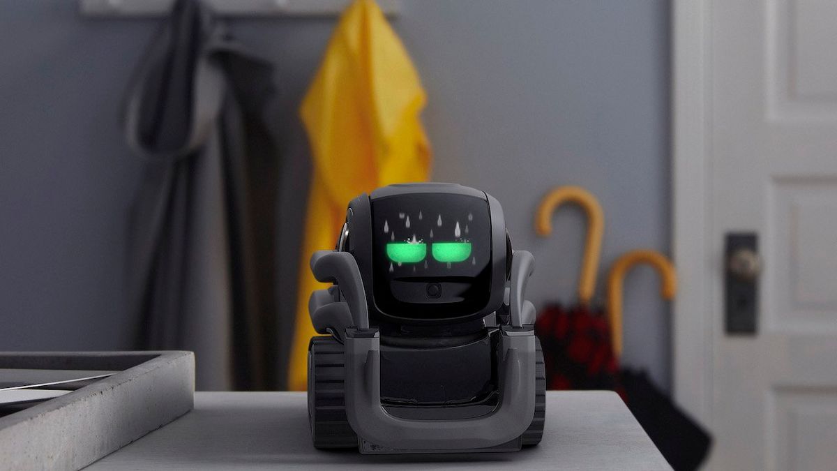 Anki vector shop latest news