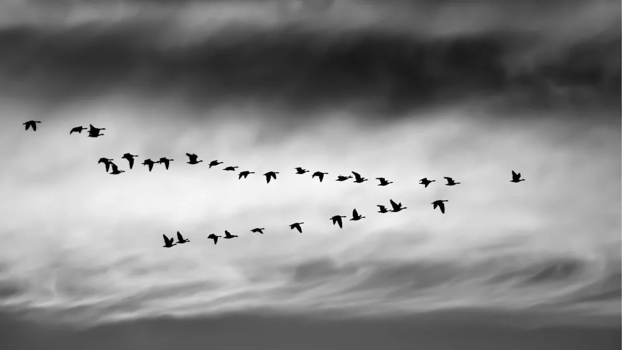 Brevity is the soul of Twitter... but doesn't move the needle