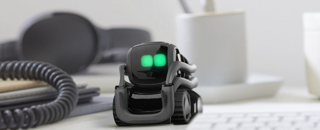 Vector: the cute new robot that's half pet, half assistant
