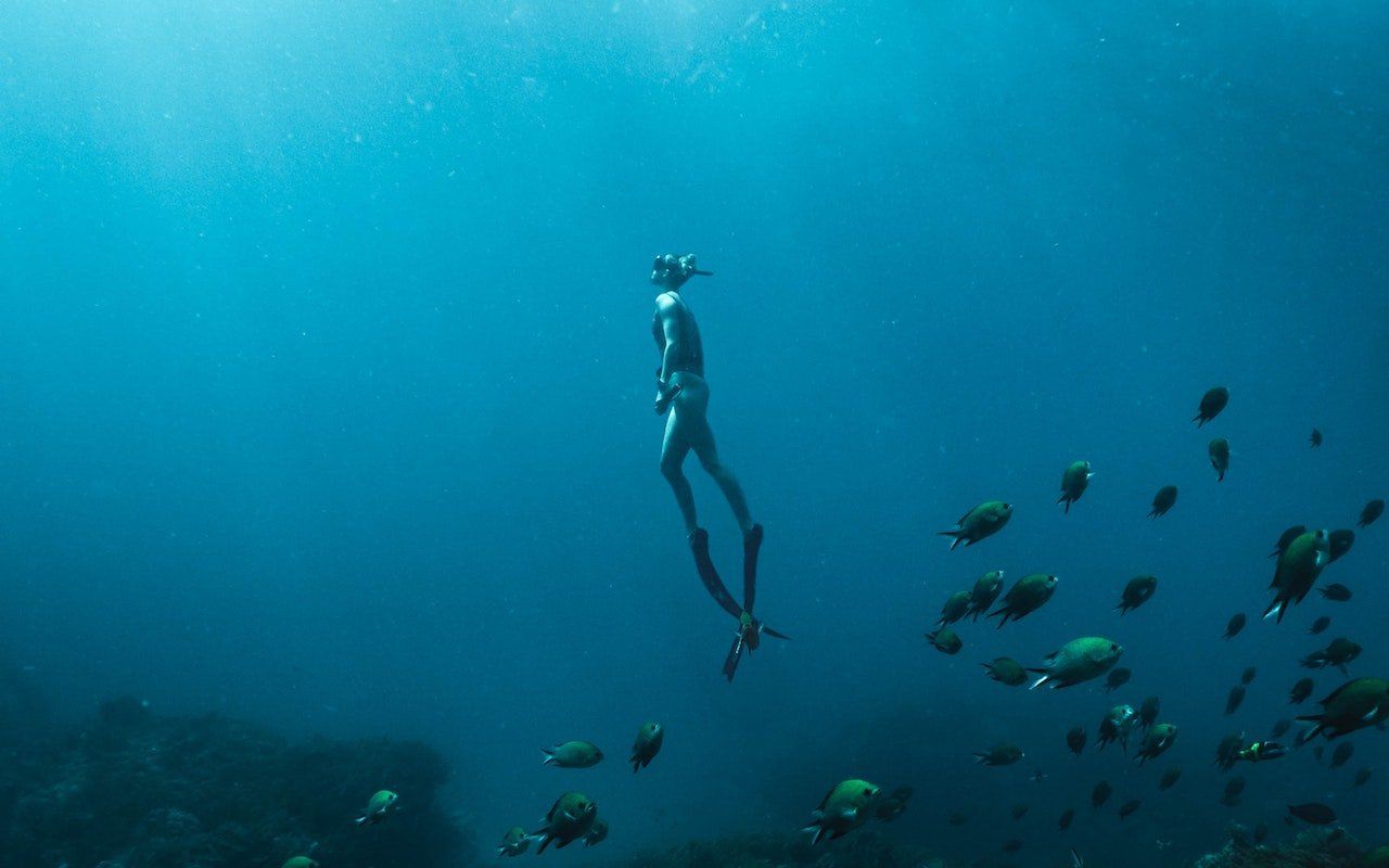 Study shows free divers can drop heart rates as low as 11 beats per minute