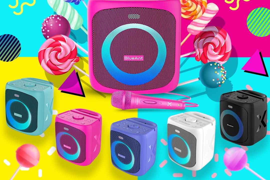 BlueAnt X4 party speaker: fun at home or in the park
