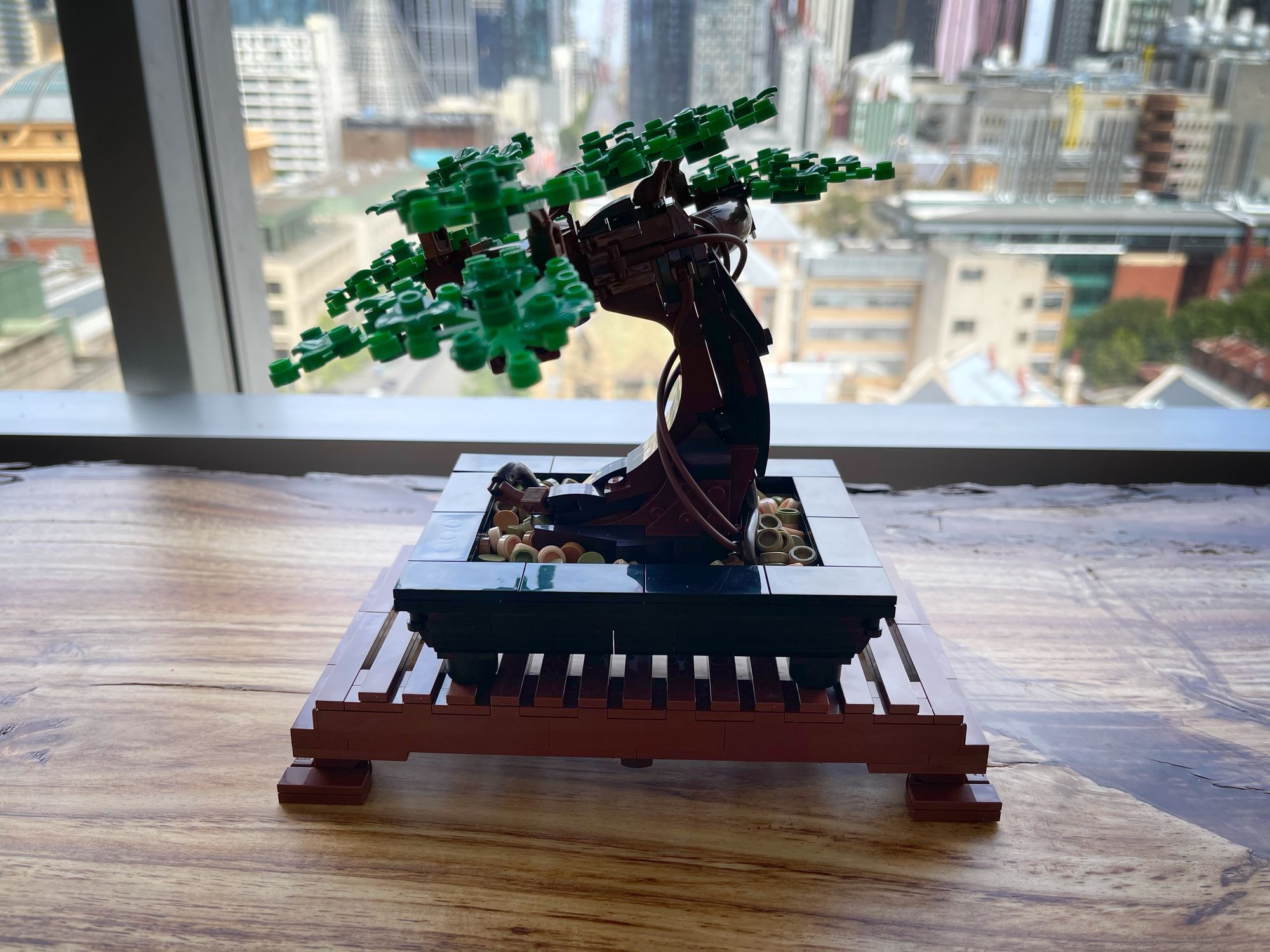 LEGO Bonsai Tree review: 2021's best creation so far - 9to5Toys